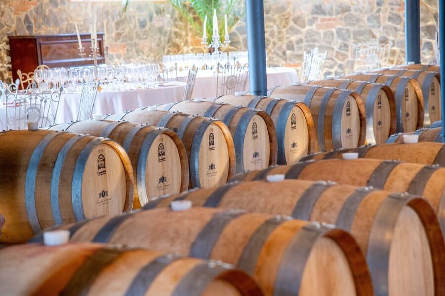 From Livorno: San Gimignano with Lunch and Tasting - Who should book this Livorno tour?