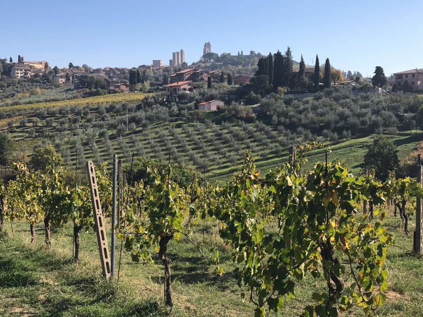 From Livorno: Shore Excursion to Chianti and San Gimignano - Key points to know before booking