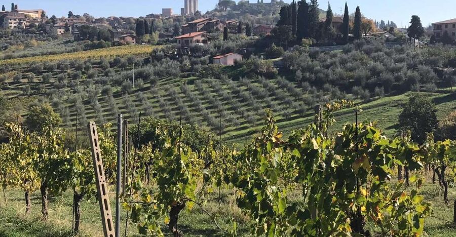 From Livorno: Shore Excursion to Chianti and San Gimignano - A full Tuscan day from Livorno