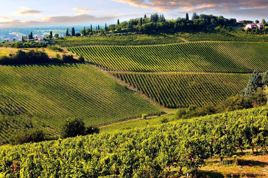 From Livorno: Siena, San Gimignano & Chianti Wine Excursions - Key points at a glance