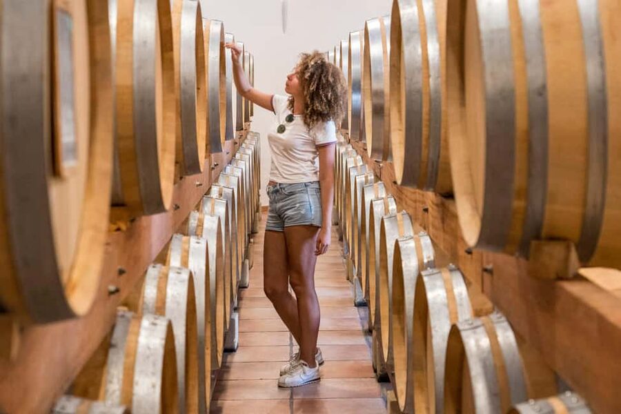 From Marseille Cruise Port : Avignon & Wine Tasting - Three hours in Avignon, the City of the Popes