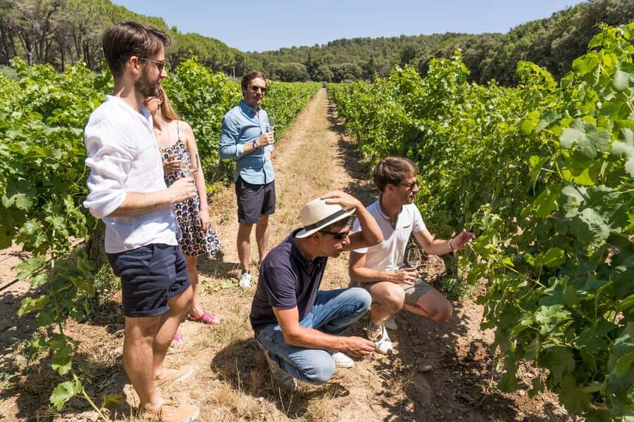 From Marseille Cruise Port : Avignon & Wine Tasting - Guides, group size, and the human side