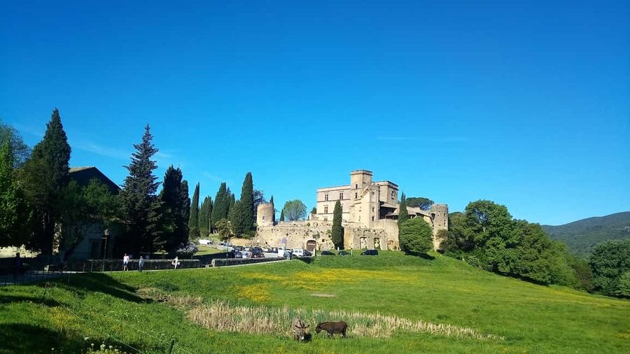 From Marseille Cruise Port: Luberon Villages - Roussillon and Provence in ochre