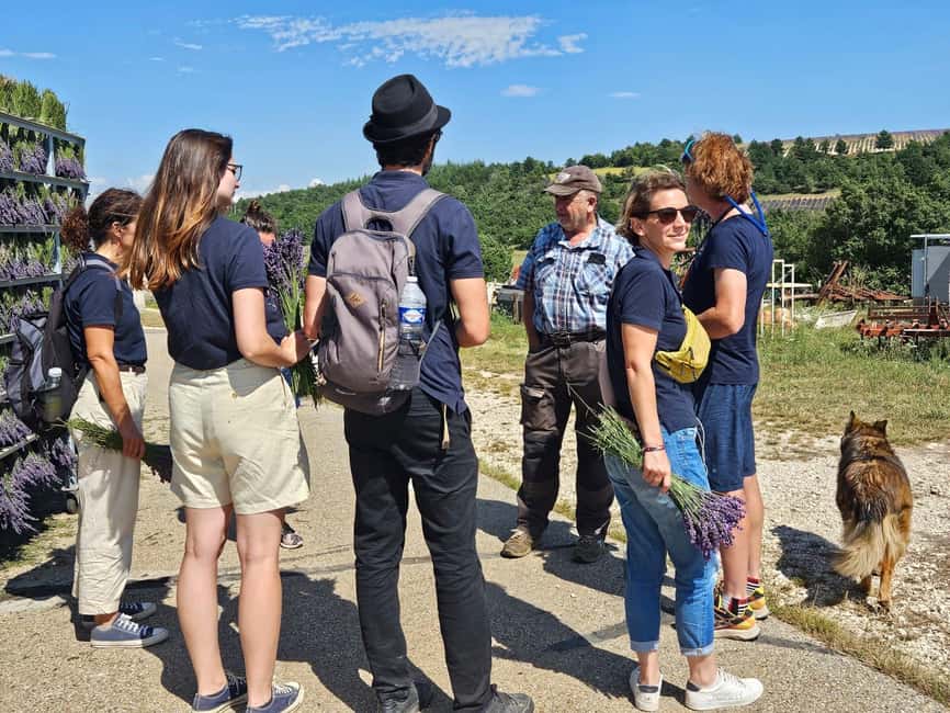 From Marseille: Valensole Lavenders Tour from Cruise Port - The second field stop and the return to Marseille