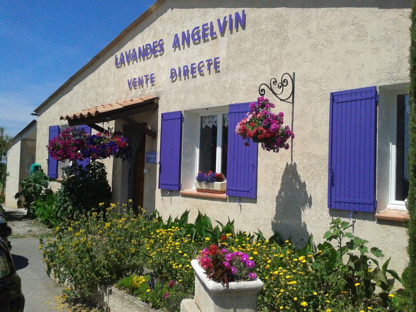 From Marseille: Valensole Lavenders Tour from Cruise Port - Is $175 a fair price?