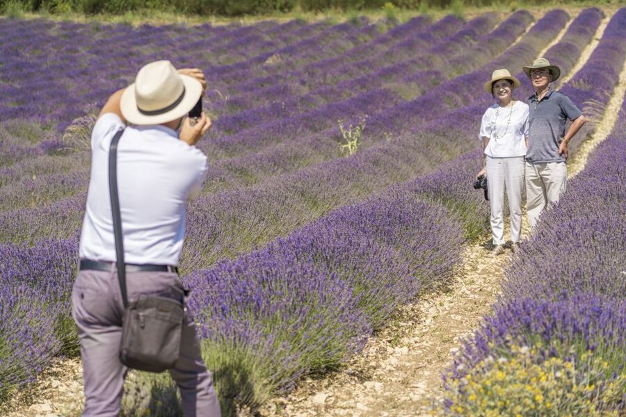 From Marseille: Valensole Lavenders Tour from Cruise Port - Should you book this tour?