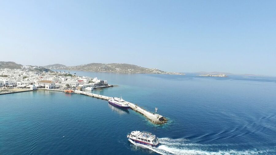 From Mykonos Cruise Port: Afternoon Delos Guided Tour - Walking through Delos with the guide