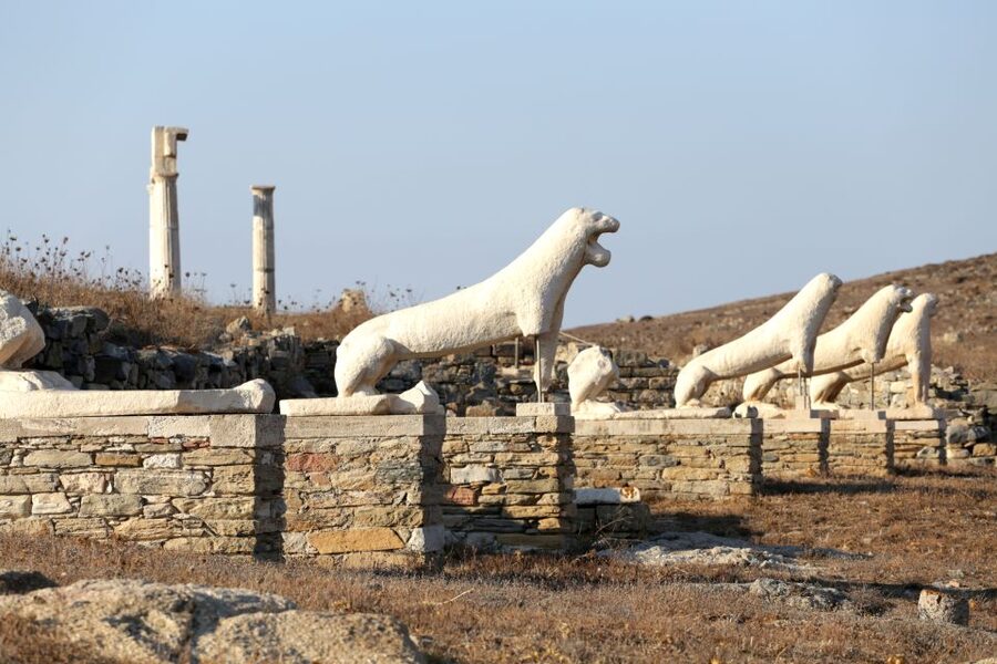 From Mykonos Cruise Port: Afternoon Delos Guided Tour - From the market to the Temple of Apollo