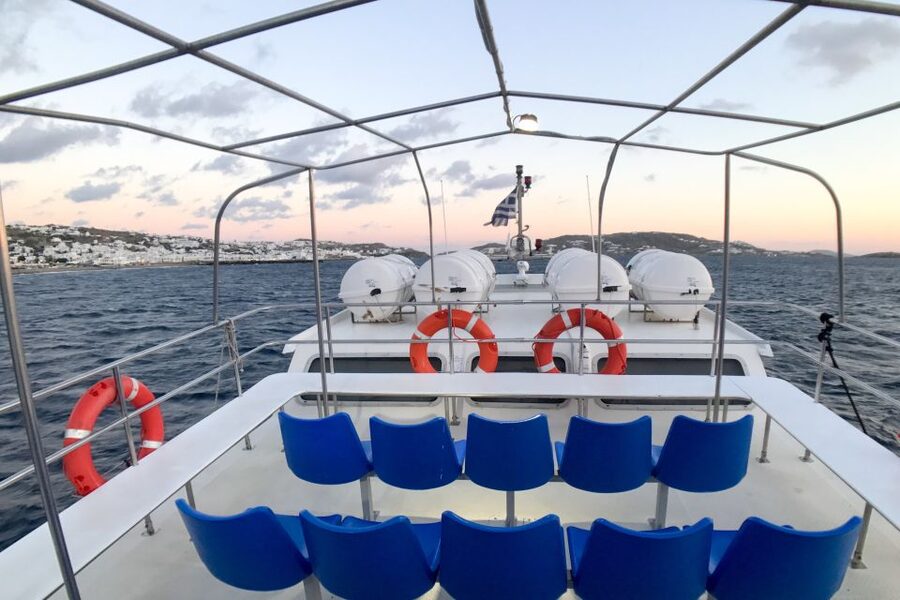 From Mykonos Cruise Port: Delos Guided Tour - Getting from a cruise ship to the Delos boat