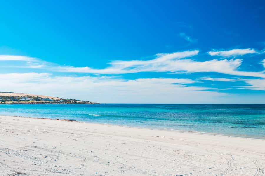 From Penneshaw: Kangaroo Island Shore Excursion Tasting Tour - What this Penneshaw tasting tour is really about