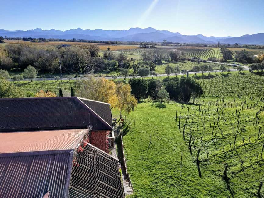 From Picton: Marlborough Wine Shore Excursion - Key points to know before booking