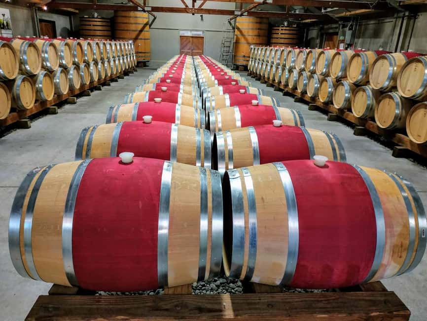 From Picton: Marlborough Wine Shore Excursion - Four or five cellar doors, with plenty of variety
