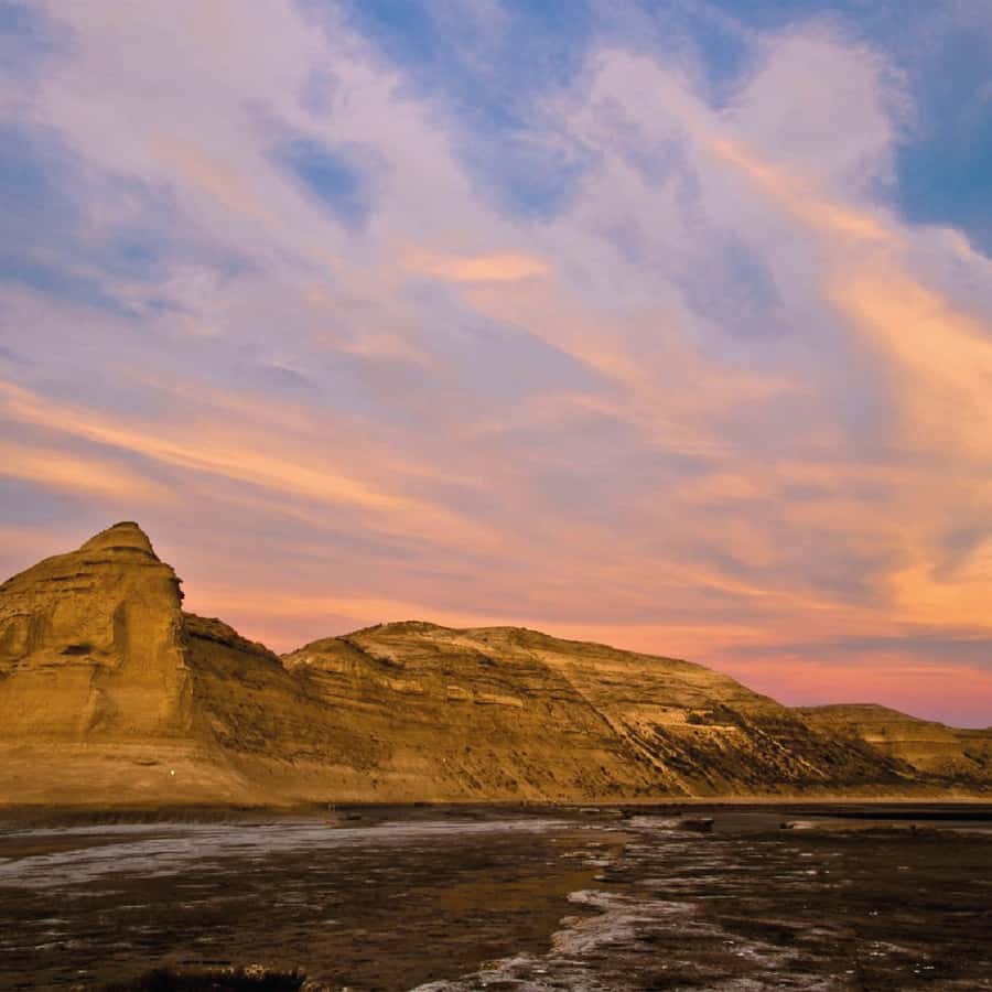 From Puerto Madryn: Peninsula Valdés Shore Excursion - Key points to know before you book