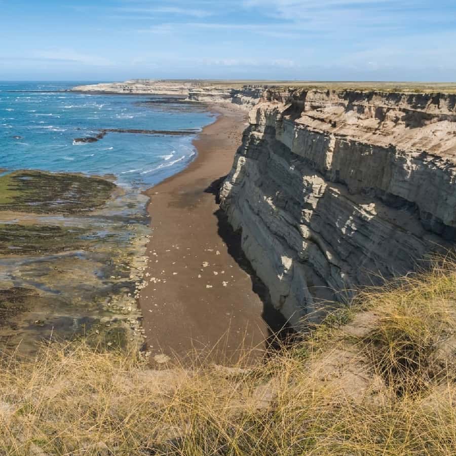 From Puerto Madryn: Peninsula Valdés Shore Excursion - Why Peninsula Valdés is worth your shore day