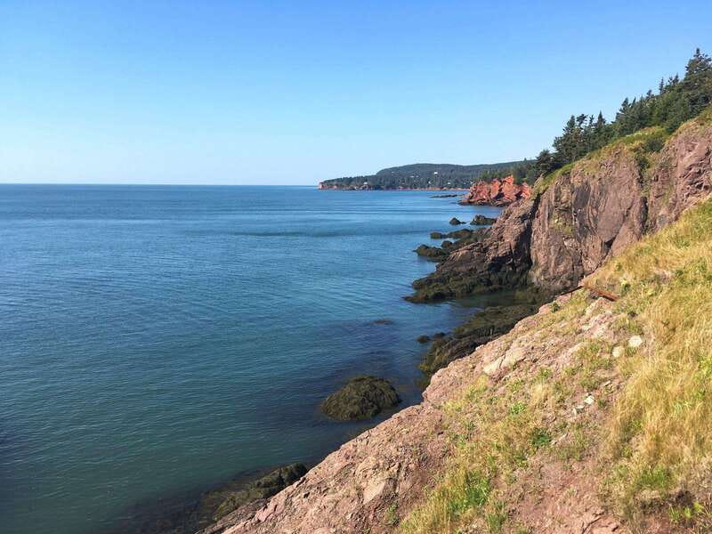 From Saint John: Bay of Fundy Bus Trip for Cruise Passengers - Why this Saint John shore excursion is worth considering