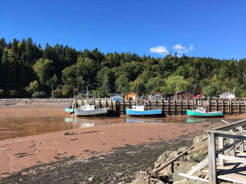 From Saint John: Bay of Fundy Bus Trip for Cruise Passengers - Reversing Falls Rapids and the river’s changing tide