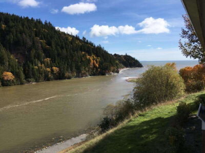 Bay of Fundy Bus Trip for Cruise Passengers
