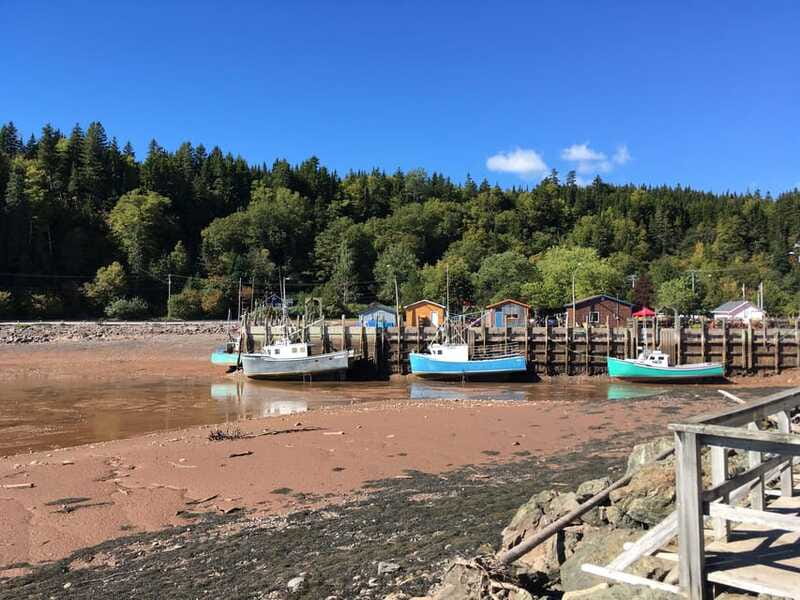 From Saint John: Bay of Fundy Bus Trip for Cruise Passengers - The Bay of Fundy: the main event