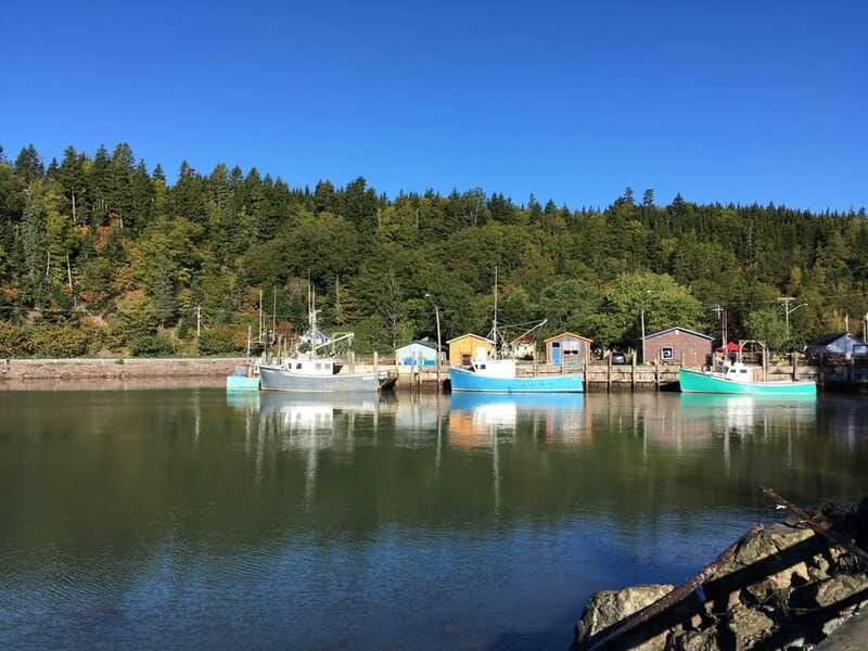 From Saint John: Bay of Fundy Bus Trip for Cruise Passengers - Saint John City Market and the question of route changes