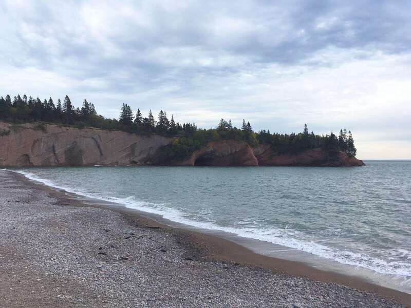 From Saint John: Bay of Fundy Bus Trip for Cruise Passengers - The guides make or break the day
