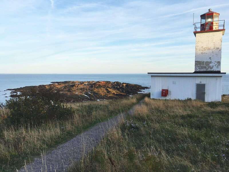 From Saint John: Bay of Fundy Bus Trip for Cruise Passengers - What the $87 price really buys you