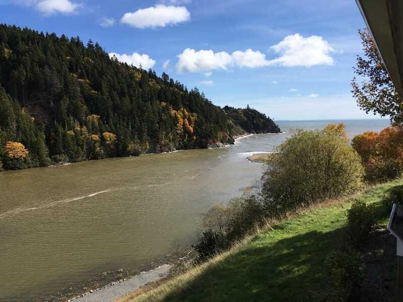From Saint John: Bay of Fundy Bus Trip for Cruise Passengers - Who should book this Bay of Fundy tour?
