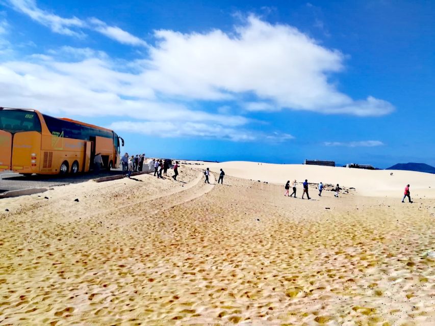 Fuerteventura: Corralejo Sand Dunes Guided Shore Excursion - Timing, meeting point, and practical planning