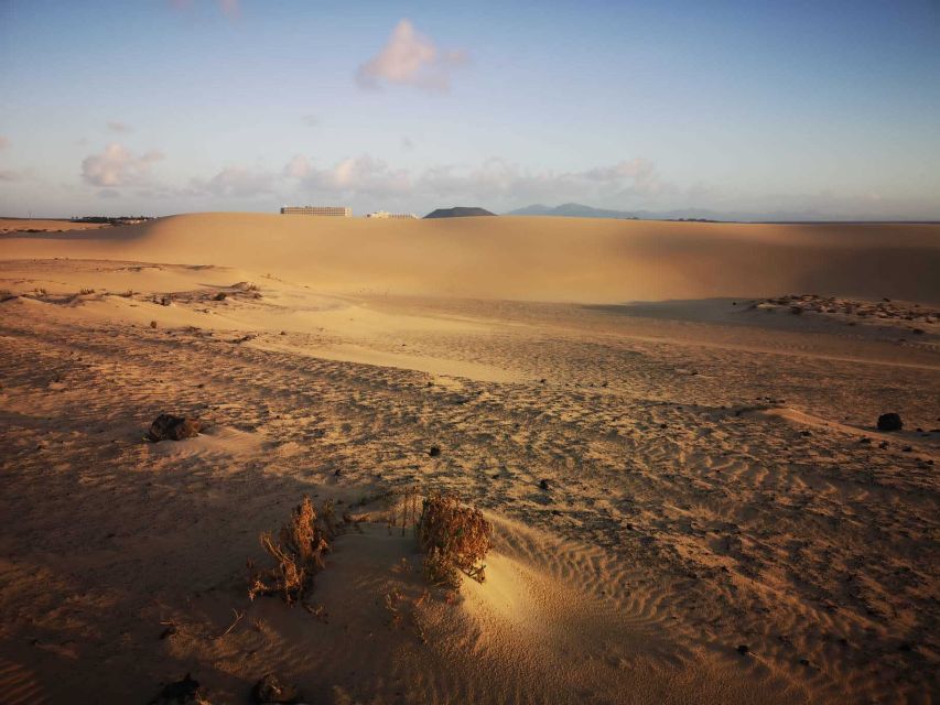 Fuerteventura: Corralejo Sand Dunes Guided Shore Excursion - Should you book the Corralejo shore excursion?