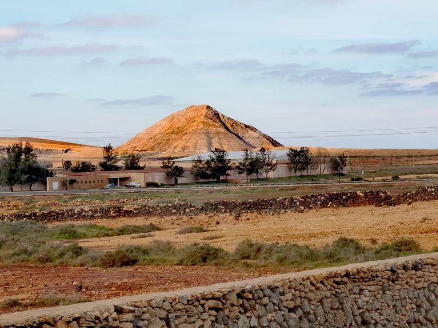 Fuerteventura: North of Fuerteventura for Cruise Passengers - Who should book this Fuerteventura outing?