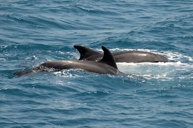 Full Day 3-Island Boat Cruise from Port of Kos - Who should book this cruise?