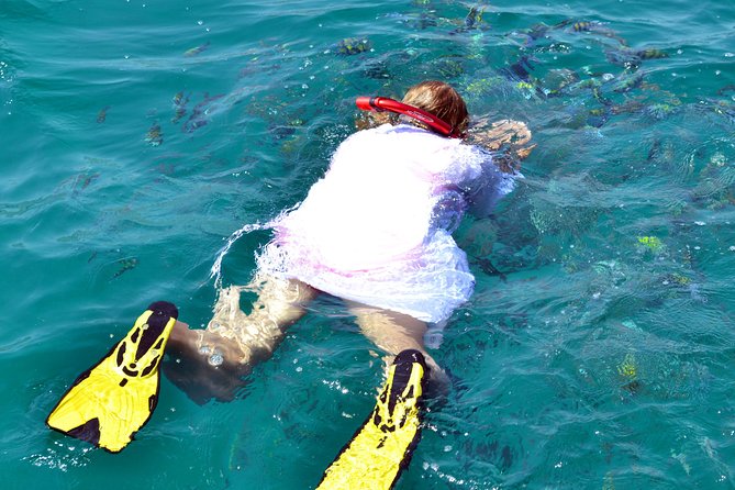 Full Day Dhow Cruise to Khor Sham with lunch & Snorkeling (Shore excursions) - Leaving Khasab at 9:30 am