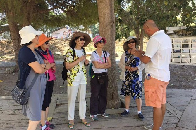Full Day Ephesus Tour for Cruise Passengers - Why this private Ephesus day works well from a cruise port