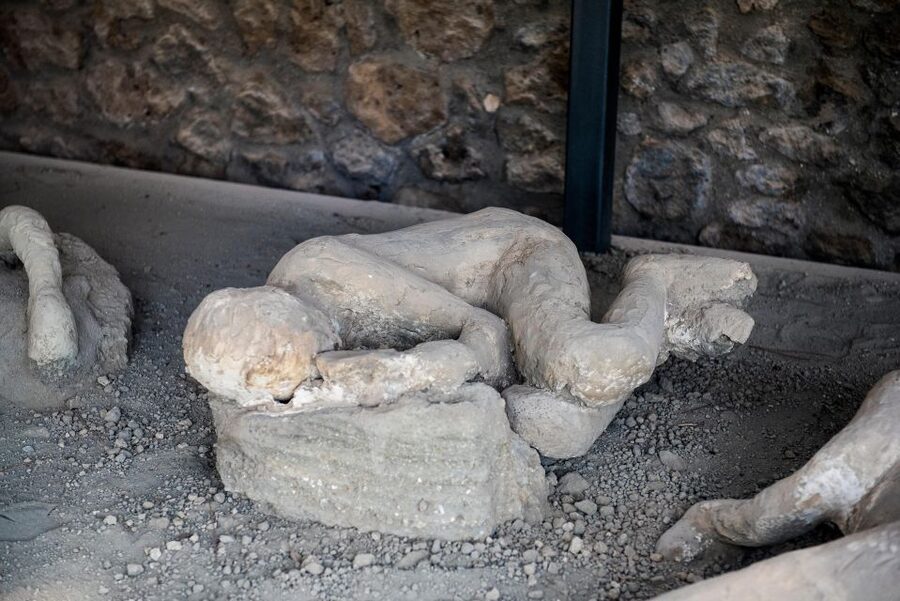 Full-Day Pompeii, Positano & Sorrento Shore Excursion - The private minivan and the real value of the price