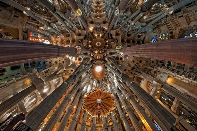 Full-Day Private Guided All Inclusive Barcelona Shore Excursion - Barcelona Cathedral: terrace, cloister, and crypt