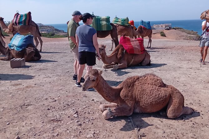 full day private tour of tangier from the cruise ship pick up - Hercules Cave and the stories beneath the coast