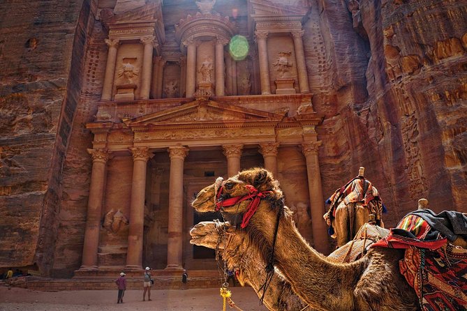 Full-Day Shore Excursion to Petra from Aqaba Port - The Optional Horse Ride and Other Transport Choices