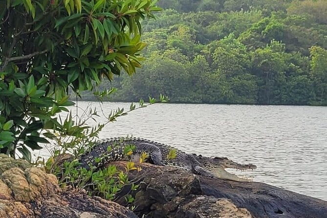 Galle ALL INCLUDED Tour from Hambantota Port (Shore excursions) - Why this Hambantota shore trip works