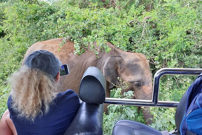 Galle ALL INCLUDED Tour from Hambantota Port (Shore excursions) - Who should book this Galle excursion