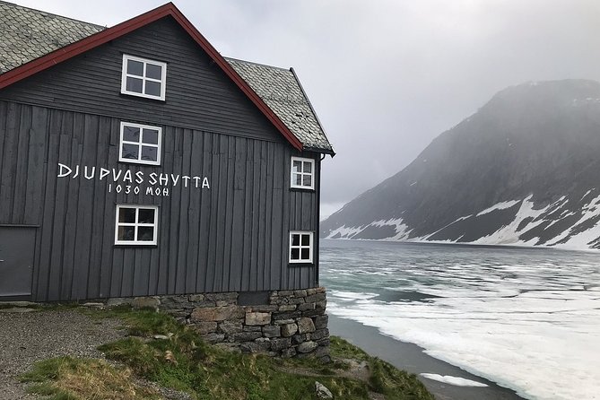 Geiranger Shore Excursion: Mt. Dalsnibba and Eagle Road - What the ride is really like