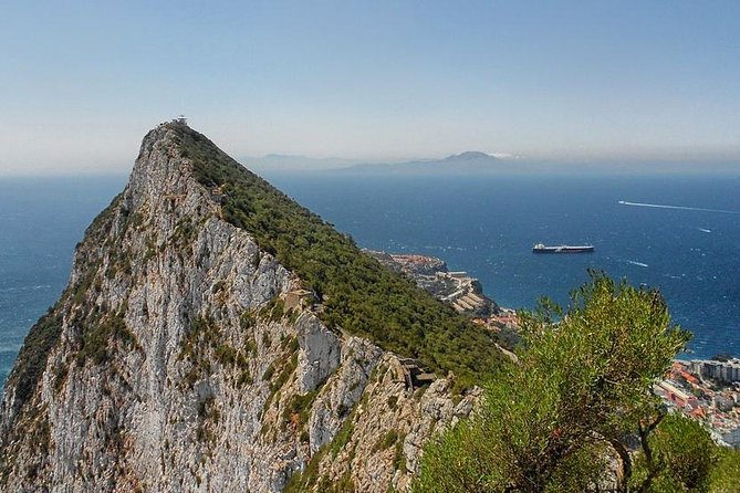 Gibraltar Shore Excursion: The Original Rock, Shop & Caves Tour - Meeting the Barbary macaques on the Upper Rock