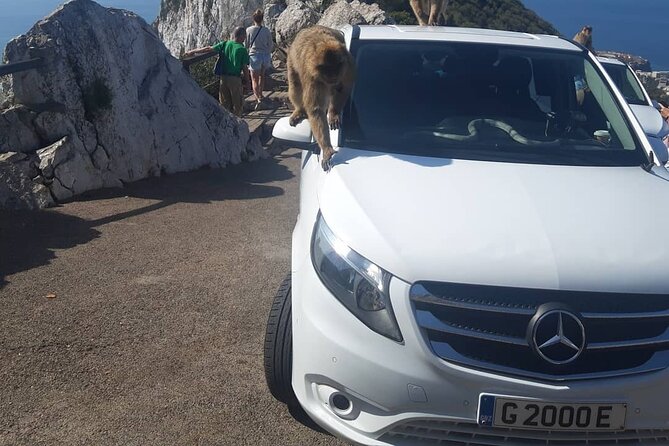 Gibraltar Sightseeing : Classic Shore Excursion (Private) - The Skywalk: a quick glass-floor thrill