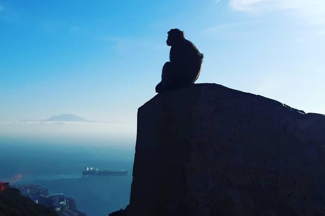 Gibraltar Sightseeing : Extended Rock Tour / Shore Excursion (Private) - Why this private Gibraltar tour works well from a cruise port