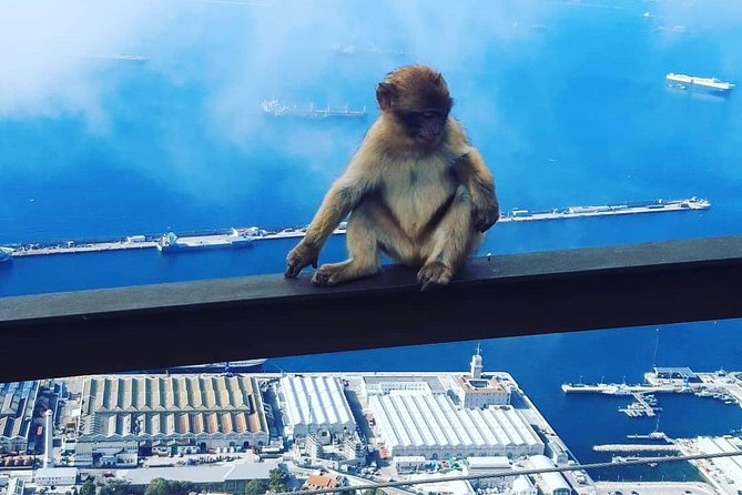 Gibraltar Sightseeing : Extended Rock Tour / Shore Excursion (Private) - The Skywalk puts you over the edge