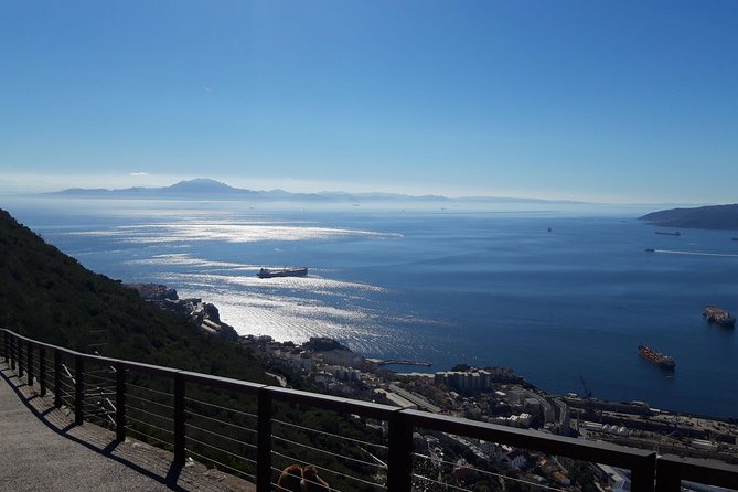 Gibraltar Sightseeing: Premium Rock Tour / Shore Excursion (Private) - Meeting Gibraltar’s Barbary macaques