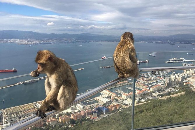Gibraltar Sightseeing: Premium Rock Tour / Shore Excursion (Private) - The Great Siege Tunnels and the story of military Gibraltar