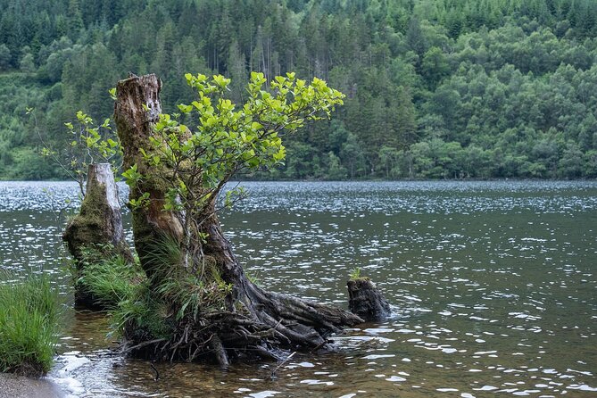 Glasgow Shore Excursion: - Loch Lomond - Stirling Castle - Loch Lomond: beautiful, but possibly brief