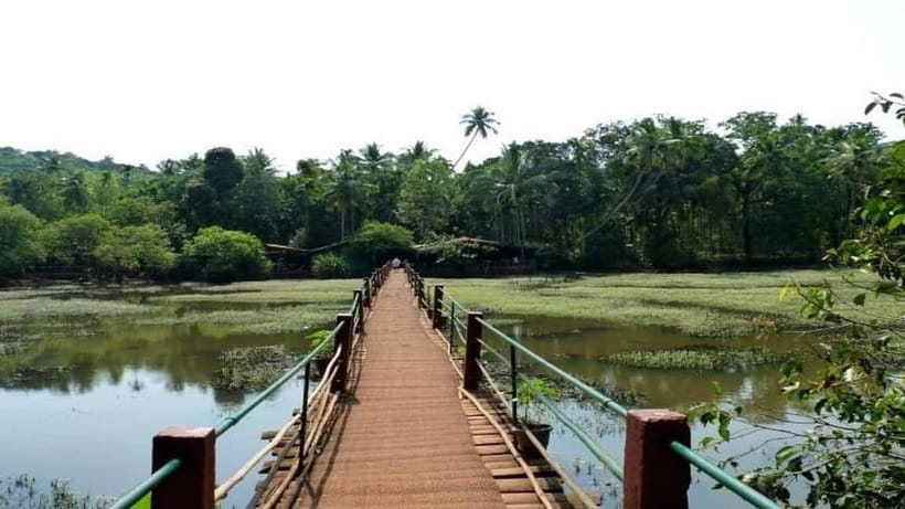 Goa Shore Excursions: Highlights of Goa - Shri Mangueshi Temple and Goa’s Hindu traditions