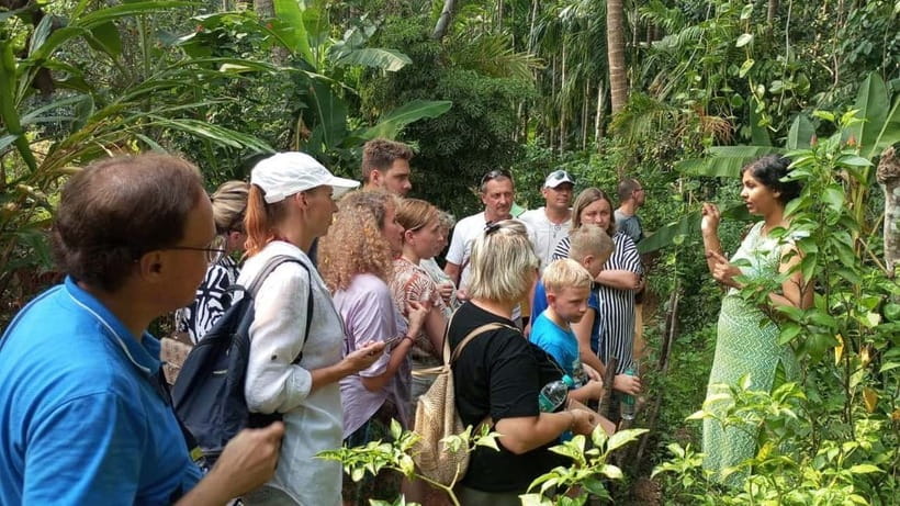 Goa Shore Excursions: Highlights of Goa - How the guides shape the experience