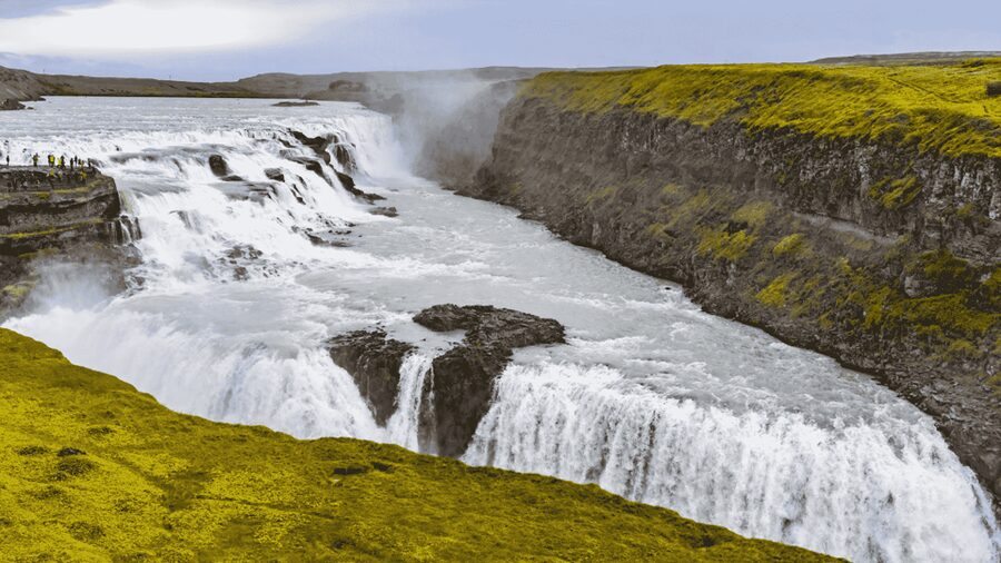 Golden Circle - Shore Excursion - Friðheimar adds food and local flavor