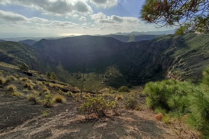 Gran Canaria Premium Tour: Volcanoes and Wine for cruisers - Why this private tour works for cruise passengers